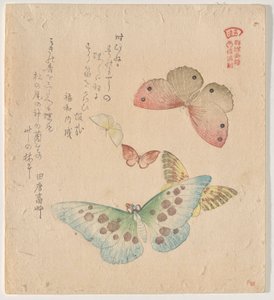 Le Manuel de peinture du vol de papillons (Guncho? Gafu) - Kubo Shunman