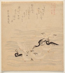 Où les cormorans et les mouettes se rassemblaient et jouaient, de la série Tosa Nikki - Kubo Shunman
