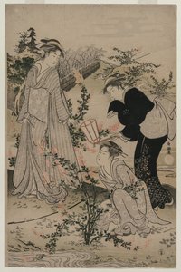 Femmes coupant des branches de trèfle ; La rivière Noji Tama dans la province d
