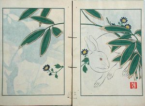 Le lapin, d