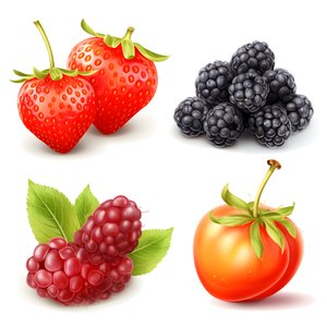 4 fruits et baies isolés sur fond blanc