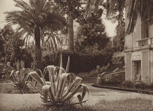 Rome : dans le jardin du Vatican - Kurt Hielscher