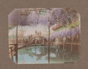 Mensen op een brug, met op de voorgrond bloeiende blauweregen, in Kameido, Tokyo, Japan - Kusakabe Kimbei
