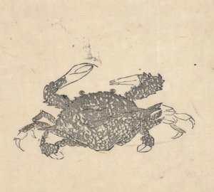 Crabe (gravure sur bois)