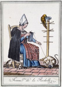 Femme de La Rochelle tricotant avec un chien, un perroquet et un chat jouant avec la pelote de laine