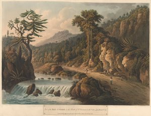 Le Rio Cobre, de 