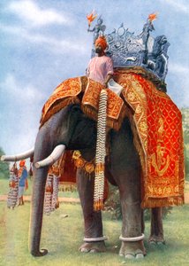 Un éléphant majestueux lors de la principale fête du Bengale, Inde - L Barber