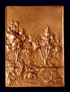 Insectes, 1911 - L. Patriarche
