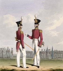 Officiers de terrain des Royal Marines, planche 2 de 