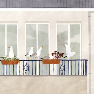 Saison des mouettes, 2020