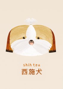 Shih tzu, 2019 - Léa Le Pivert