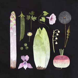 Légumes et fleurs, 2023 (numérique) - Léa Le Pivert
