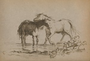 Chevaux