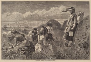 Cueillette de baies - Lagarde after Winslow Homer