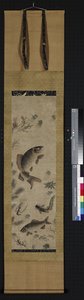 Poissons dans un lac