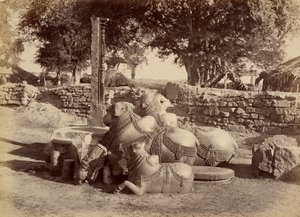 Bulles sacrées dans le fort de Warungal