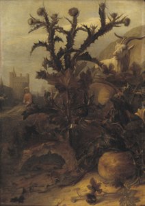 Chardon, citrouille et une chèvre - Lambert Doomer