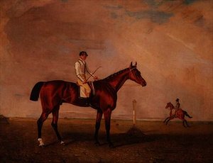 Cheval de Course Bai avec Jockey sur un Champ de Courses