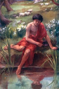 Il aperçoit son propre reflet (lithographie couleur)