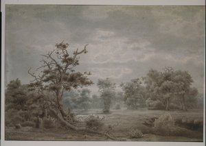 Paysage forestier de Düsseldorf