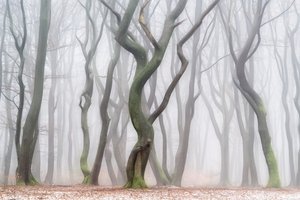  - Lars van de Goor †