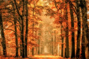 - Lars van de Goor †