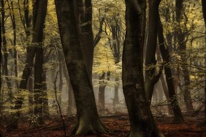  - Lars van de Goor †