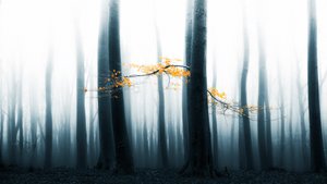  - Lars van de Goor †
