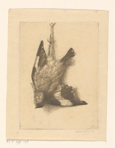 Oiseau mort - Laurent Verwey van Udenhout