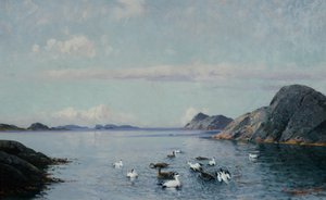Côte sud avec oiseaux de mer