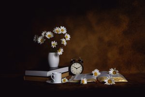 Daisies Books – Paix matinale - Leah Xu