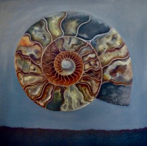 Ammonite, 2020