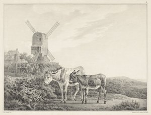 Deux ânes dans un paysage près d