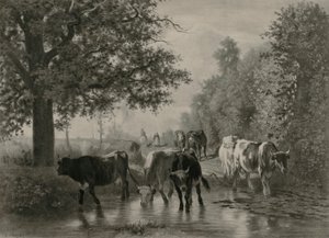 Retour à la maison