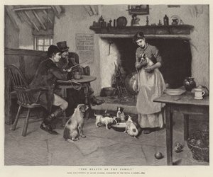 La beauté de la famille