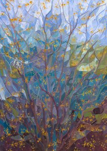 Noisetier en fleur, 2015 - Leigh Glover