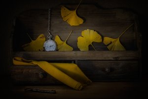  - Lenka