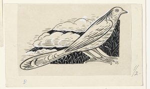 Pigeon