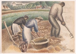 Récolteurs de pommes de terre dans le champ
