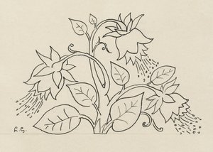 Arbuste à fleurs