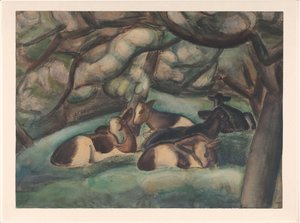 Vaches dans la Beemster