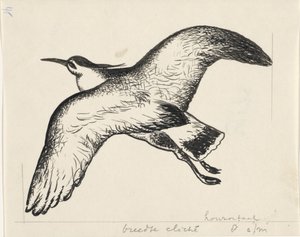 Oiseau volant - Leo Gestel