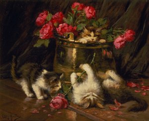 Chatons joueurs