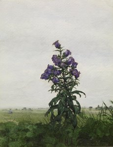 Campanule devant un paysage - Léon Bonvin