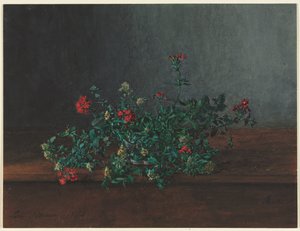 Nature morte avec des fleurs sauvages - Léon Bonvin