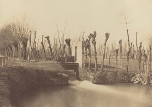 Paysage, Montebello, v. 1860 (photo) - Léon Gérard