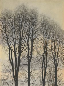 Arbre dans le ciel