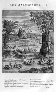 Marais, 1615