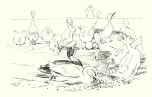 Dame, pourquoi vos canards meurent-ils - Leonard Leslie Brooke