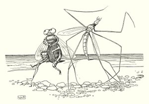 Le Papa-Longues-Jambes et la Mouche - Leonard Leslie Brooke